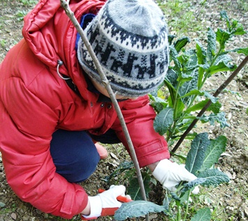 Autismo: sempre più casi, ma aumenta il sostegno al paziente e alle famiglie