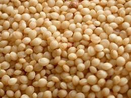 Agricoltura, nasce “Amaranta” un superfood tutto toscano Ricerca condotta dell’Università di Firenze