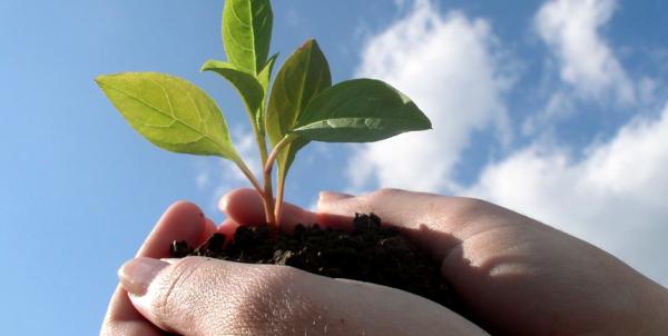 A Firenze il Forum internazionale su la ‘Sostenibilità del benessere’