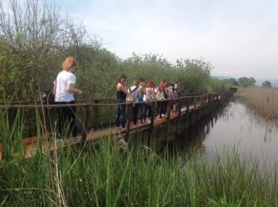 Convegno a Firenze sull’orientamento narrativo