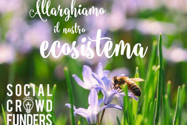 Parte a settembre Social Crowdfunders 2