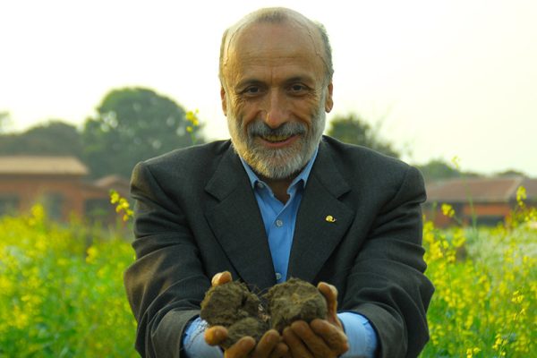 Il mondo delle piante insegna l’innovazione sociale