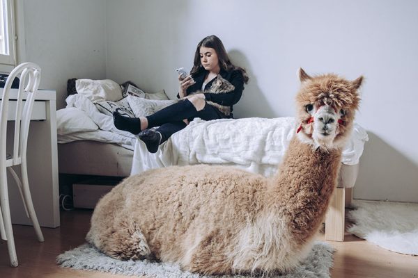 “We Are Humans”: l’ordinario e lo straordinario della condizione umana al Cortona On The Move