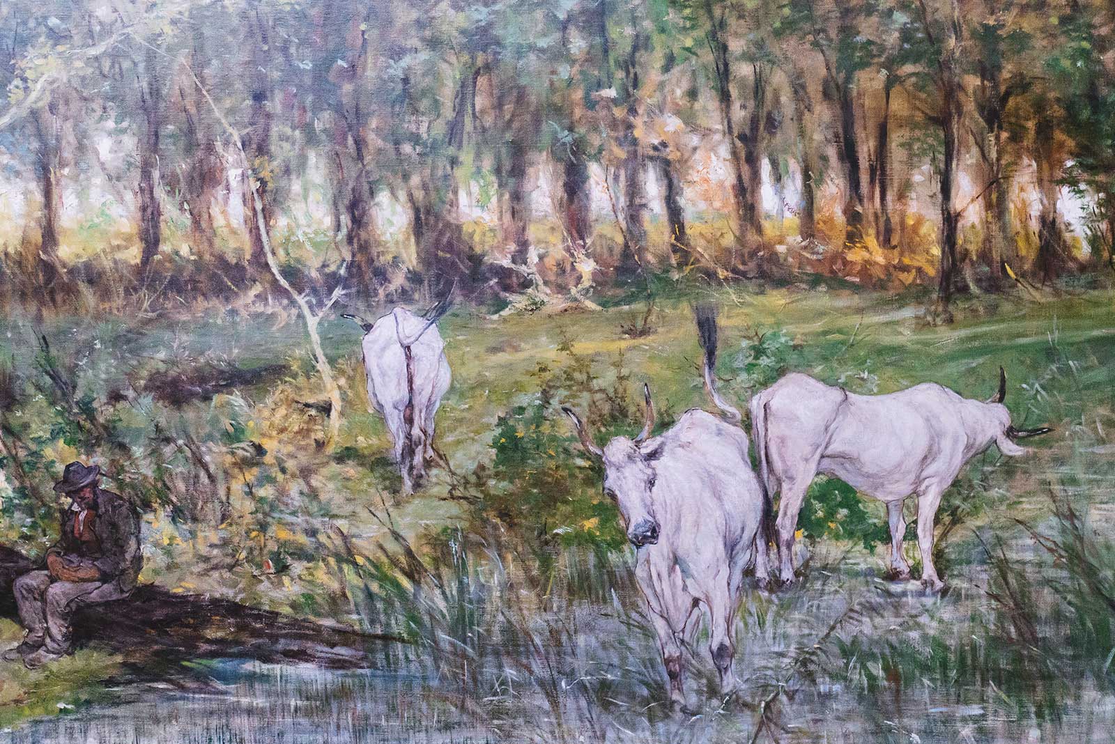 fcrf-in-collezione-photo-stefano-casati-104-0715