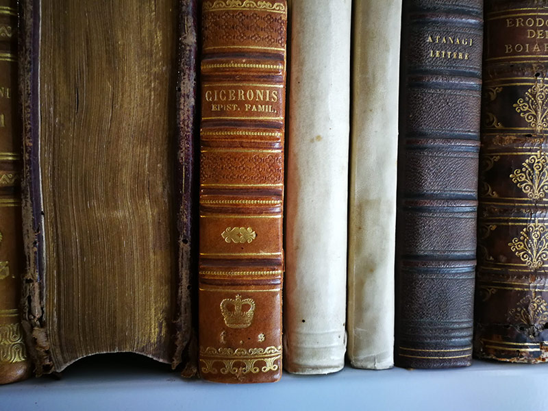 Fondazione Biblioteche