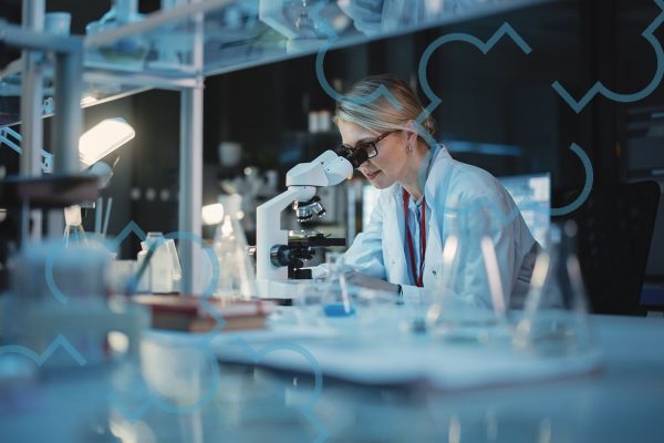 Bando Ricercatori a Firenze