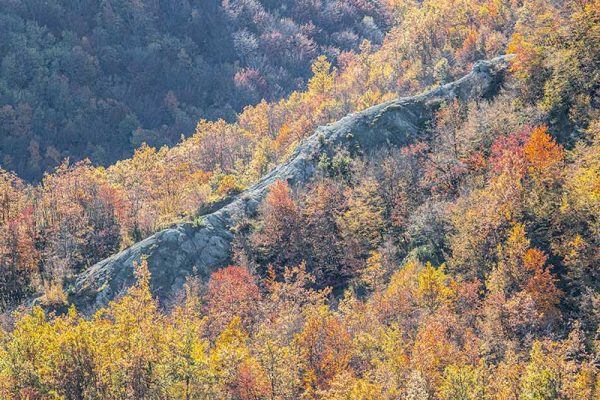 Alla scoperta del Parco Nazionale delle Foreste Casentinesi e del Monastero di Camaldoli